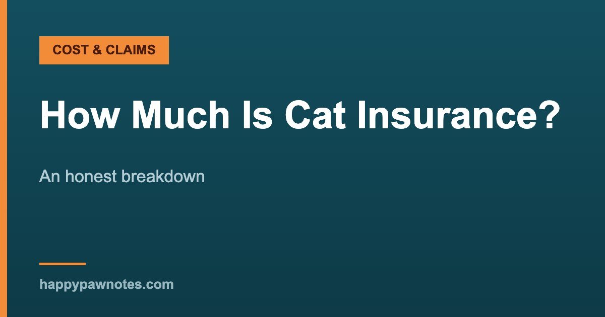 How Much Is Cat Insurance? — An honest breakdown, Happy Paw Notes