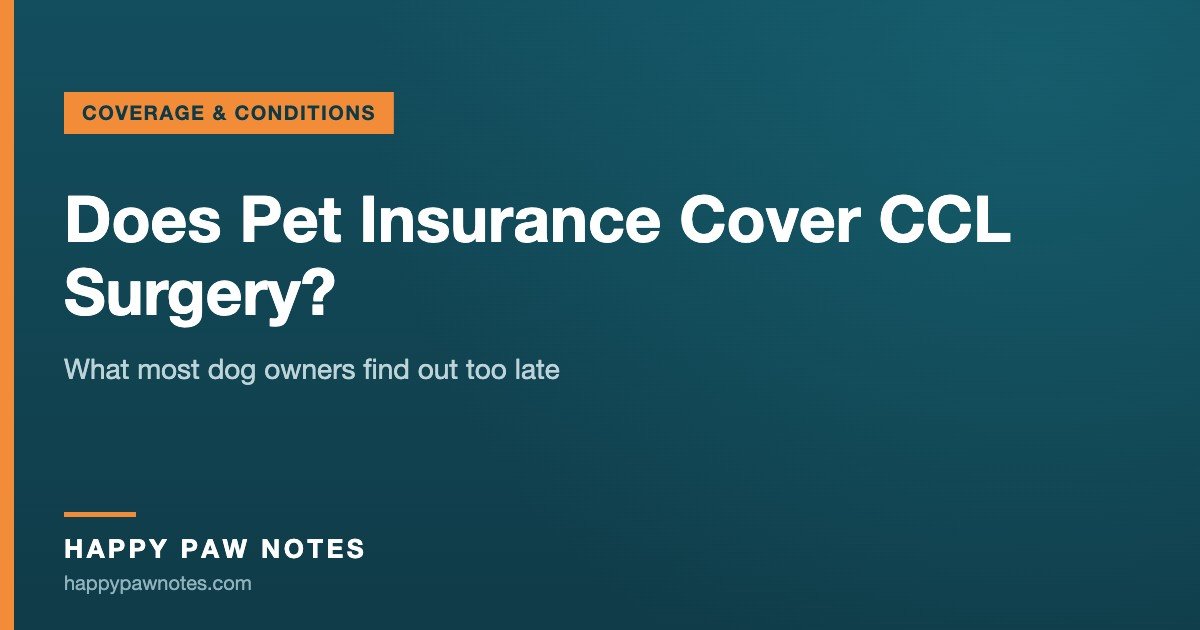 Navy cover reading Does Pet Insurance Cover CCL Surgery? — Happy Paw Notes