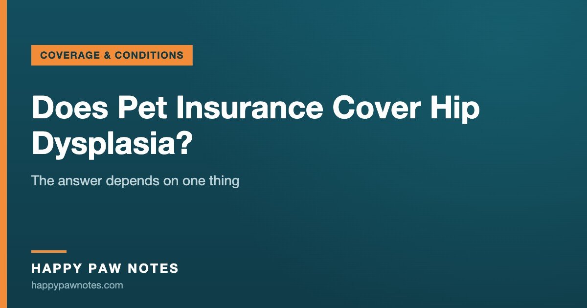 Navy cover reading Does Pet Insurance Cover Hip Dysplasia? — Happy Paw Notes