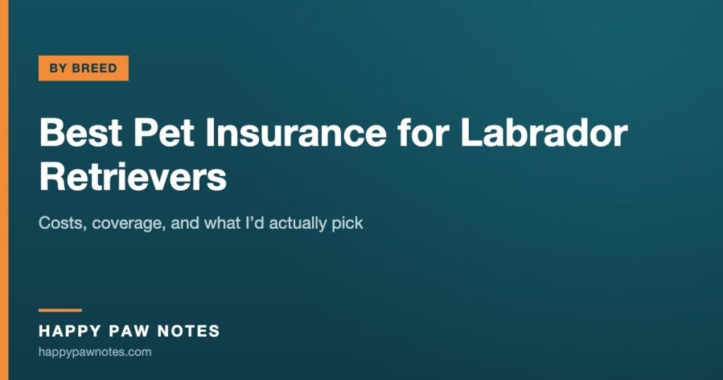 Navy cover reading Best Pet Insurance for Labrador Retrievers — Happy Paw Notes