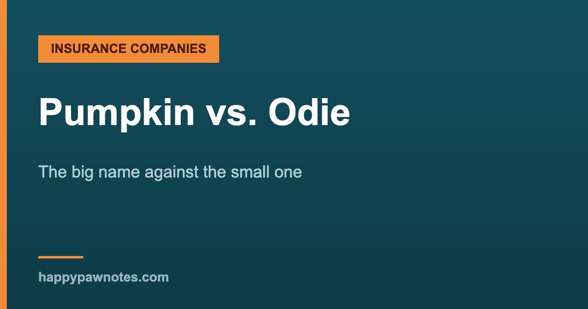 Pumpkin vs. Odie — The big name against the small one, Happy Paw Notes